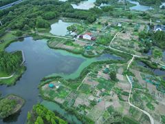 -贡湖湾湿地公园