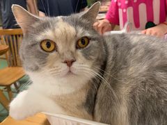 -藦茜花园宠物主题亲子互动体验馆(国顺东路店)