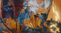 -CARE宴会设计·高端定制(丽思卡尔顿酒店)