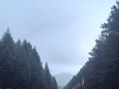 -吉林拉法山