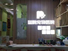 -瑞鹏宠物医院·宠保定点·心脏科·内科(御桥分院)