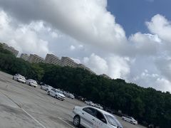 -胜华驾校·小猫学车(银都店)