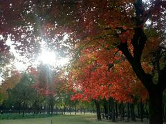 -洛阳市隋唐城遗址植物园
