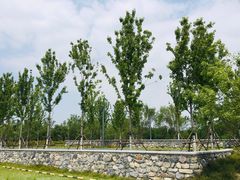 -东郊湿地公园