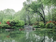 -习家池