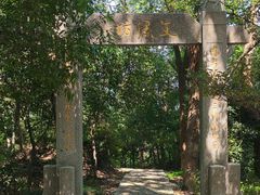 -上海佘山国家森林公园天马山园