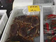 -黄沙水产交易市场
