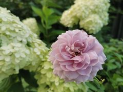 -蘇锦宴·淮扬菜烤鸭·小院(三元桥霄云路店)