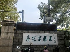 -嘉定紫藤园