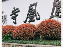 -凤凰寺