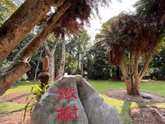 -中国科学院西双版纳热带植物园