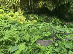 -海口火山口国家地质公园