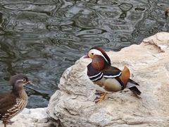 -静之湖度假区