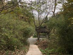 -敬亭山风景名胜区