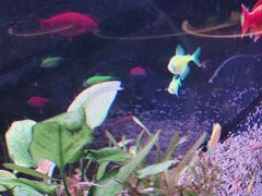 -花馬肆.云南过桥米线(汉神购物广场现场熬汤店)