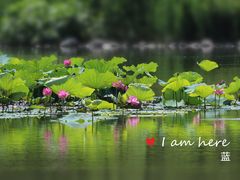 -国家植物园南园