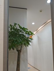 -郑荃丽格医疗美容