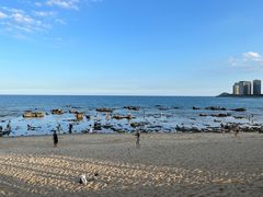 -盘古掌冲浪俱乐部(日月湾店)