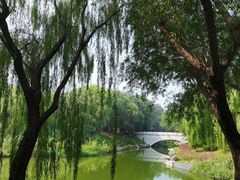 -大兴滨河森林公园
