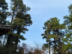 -敬亭山风景名胜区