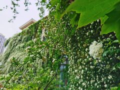 -府河摄影公园