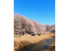 -北京奥林匹克公园