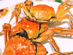 -禾斗海鲜自助(市南银座店)