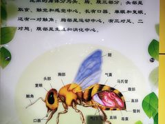 -上海昆虫博物馆