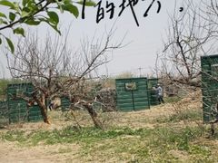 -亲兄弟真人CS团建拓展基地