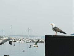 -星海广场
