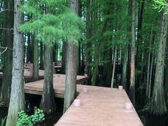 -东湖落雁景区