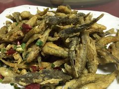 -悠悠美食