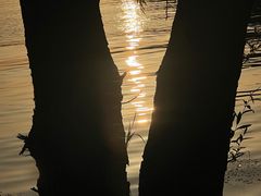 -高子水居