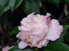 -行人小筑·茶馆(岑村火炉山分店)