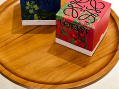 -LOEWE罗意威(北京SKP女装店(一层))