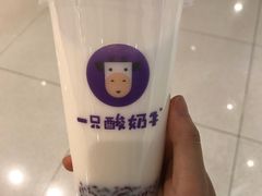 -一只酸奶牛(来福士店)