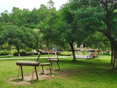 -神光山国家森林公园