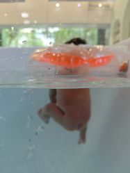 -雏芽婴幼儿游泳·小美医生小儿推拿(西村店)