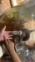 -Zoolung Zoolung动物主题公园(海信广场店)