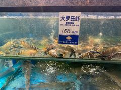 -叶氏大快活酒楼·佛山老字号