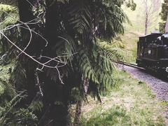 -普芬比利蒸汽火车