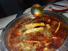 -蜀滋香鲜鱼美蛙火锅(339店)