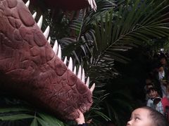 -呀路古热带植物园-恐龙馆