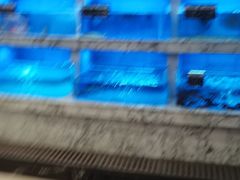 -香山湖渔家大院