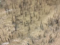 -东寨港红树林旅游区