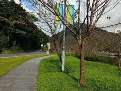 -广州市石门国家森林公园