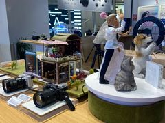 -Sony Store 索尼(来福士店)