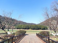 -八卦田遗址公园