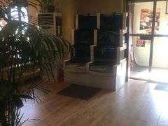 -大吉鲜鱼料理自慢(维也纳大厦店)