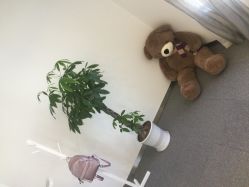 -莱恩·乐活概念专业皮肤管理连锁